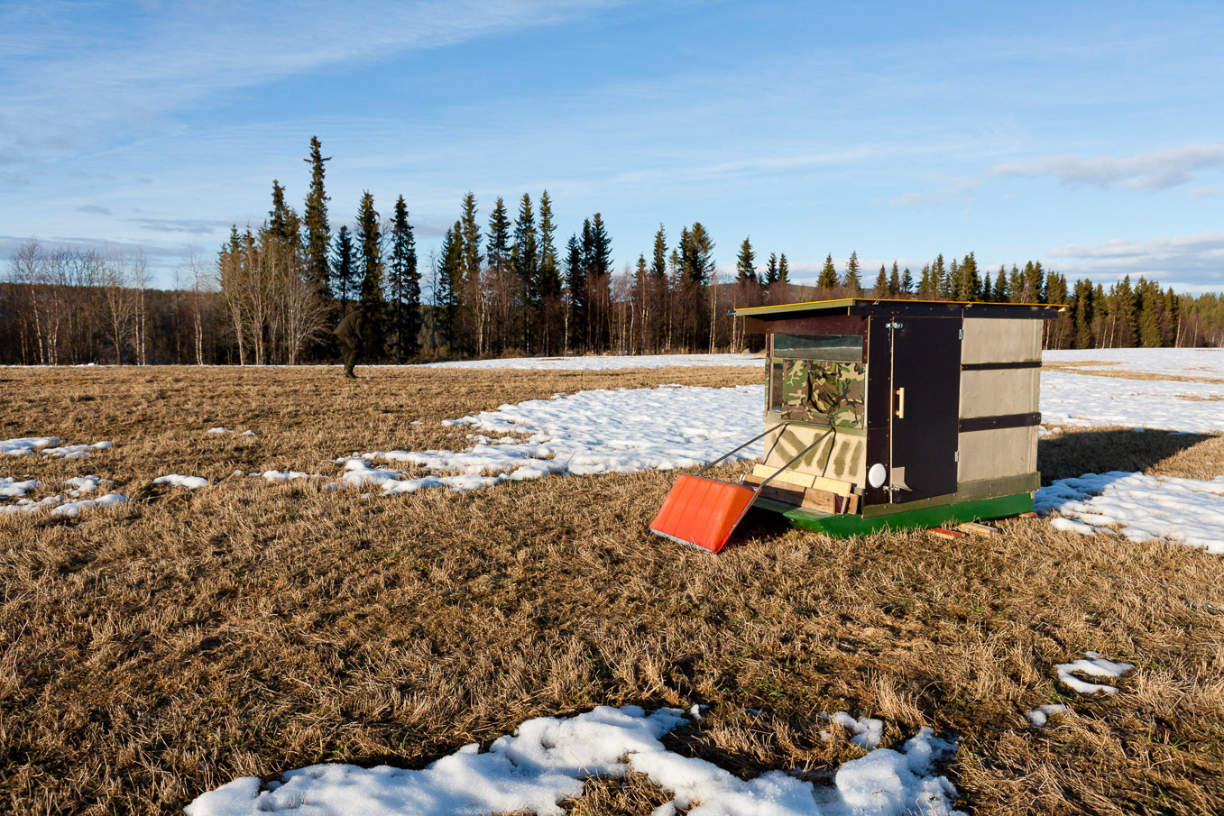 Black Grouse Hide 1