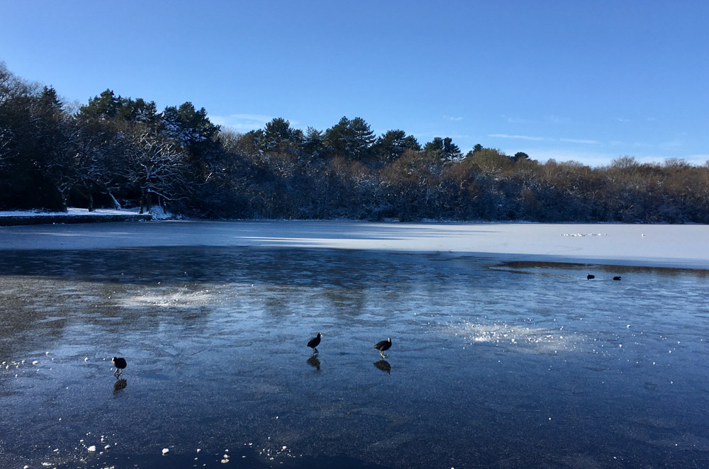 Testing Times - Still Loving Lockdown?